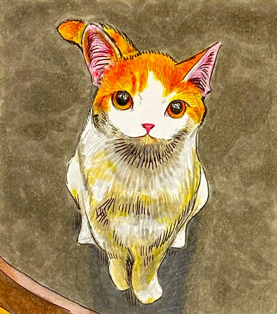 猫カフェ　色紙　原画