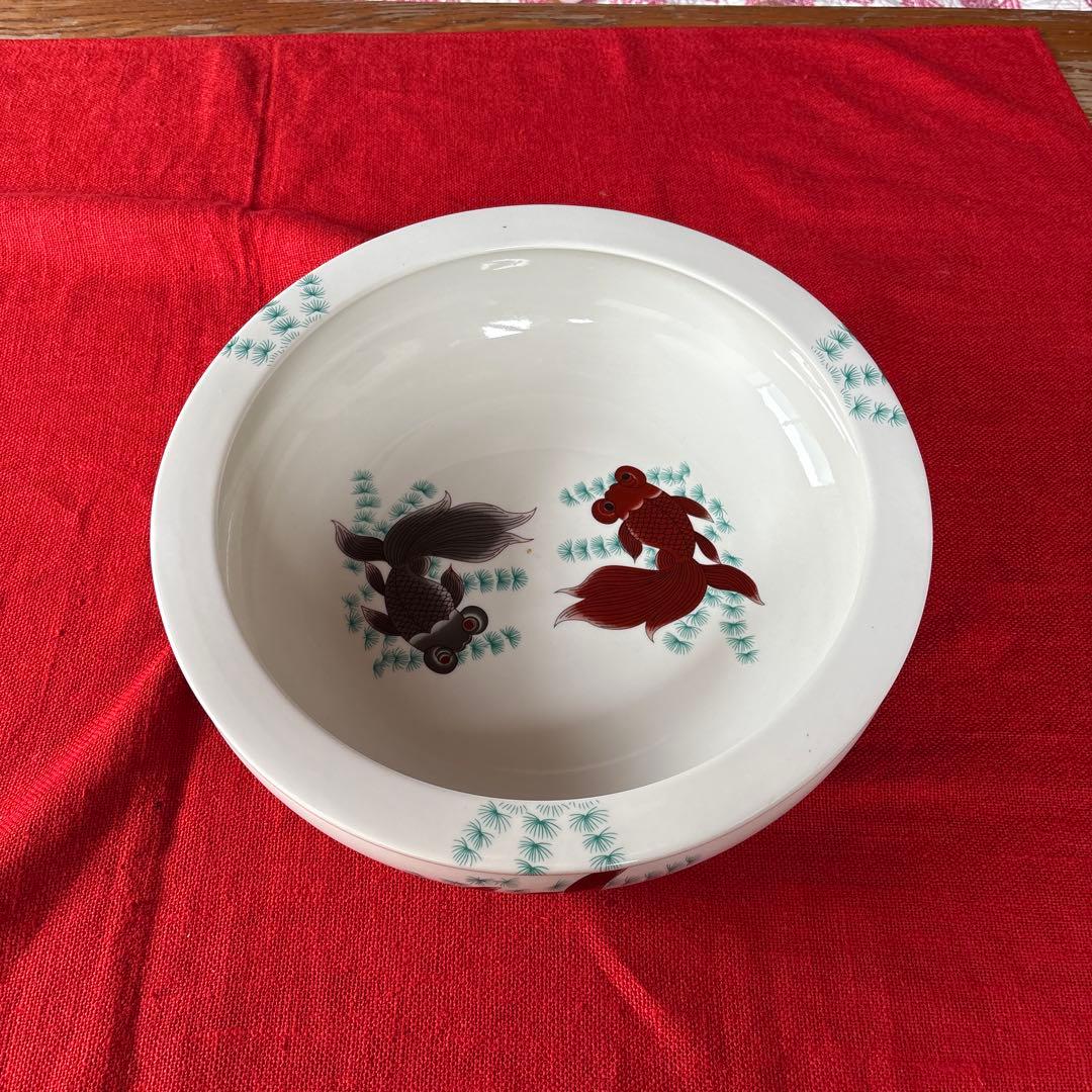 出目金がとてもカッコイイ、色合いが素晴らしい、金魚鉢、メダカとか。