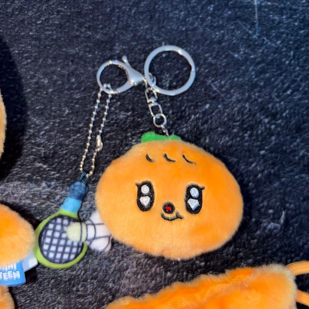 seventeen スングァン miniteen グッズまとめ売り