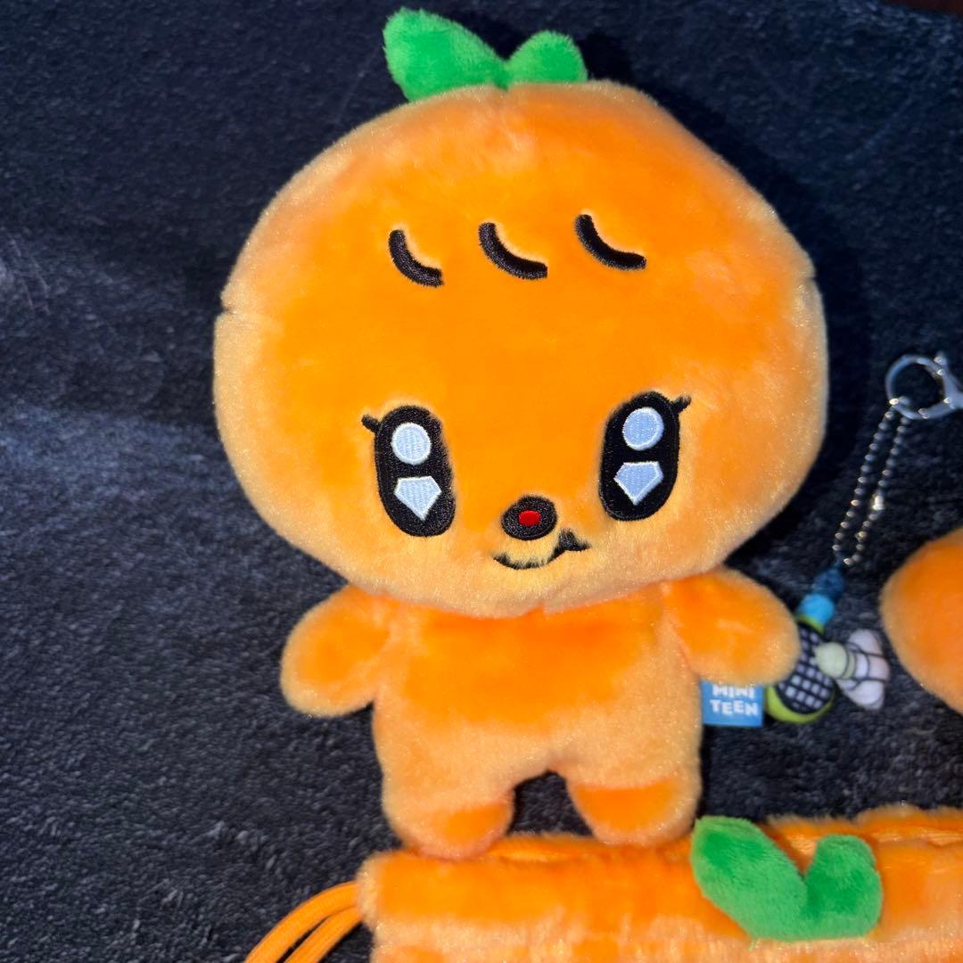 seventeen スングァン miniteen グッズまとめ売り