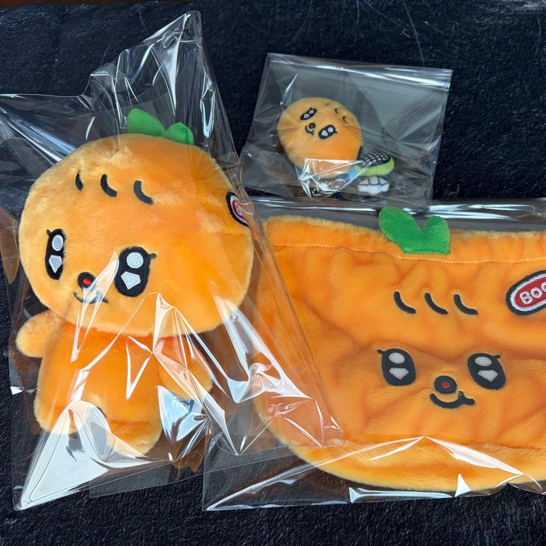 seventeen スングァン miniteen グッズまとめ売り