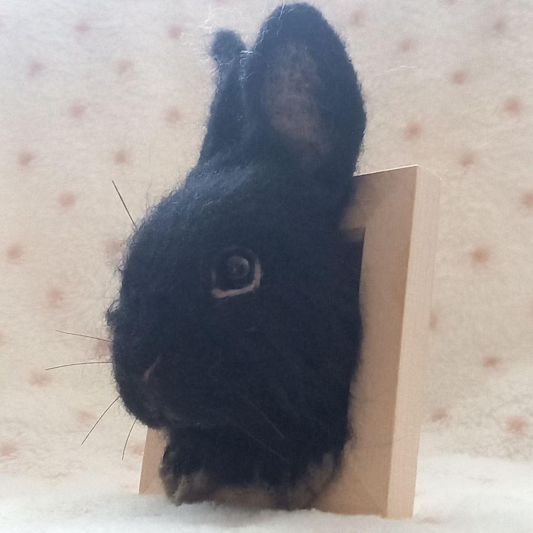 専用出品 うさぎフレーム うちのこ オーダーメイド 羊毛フェルト ハンドメイド