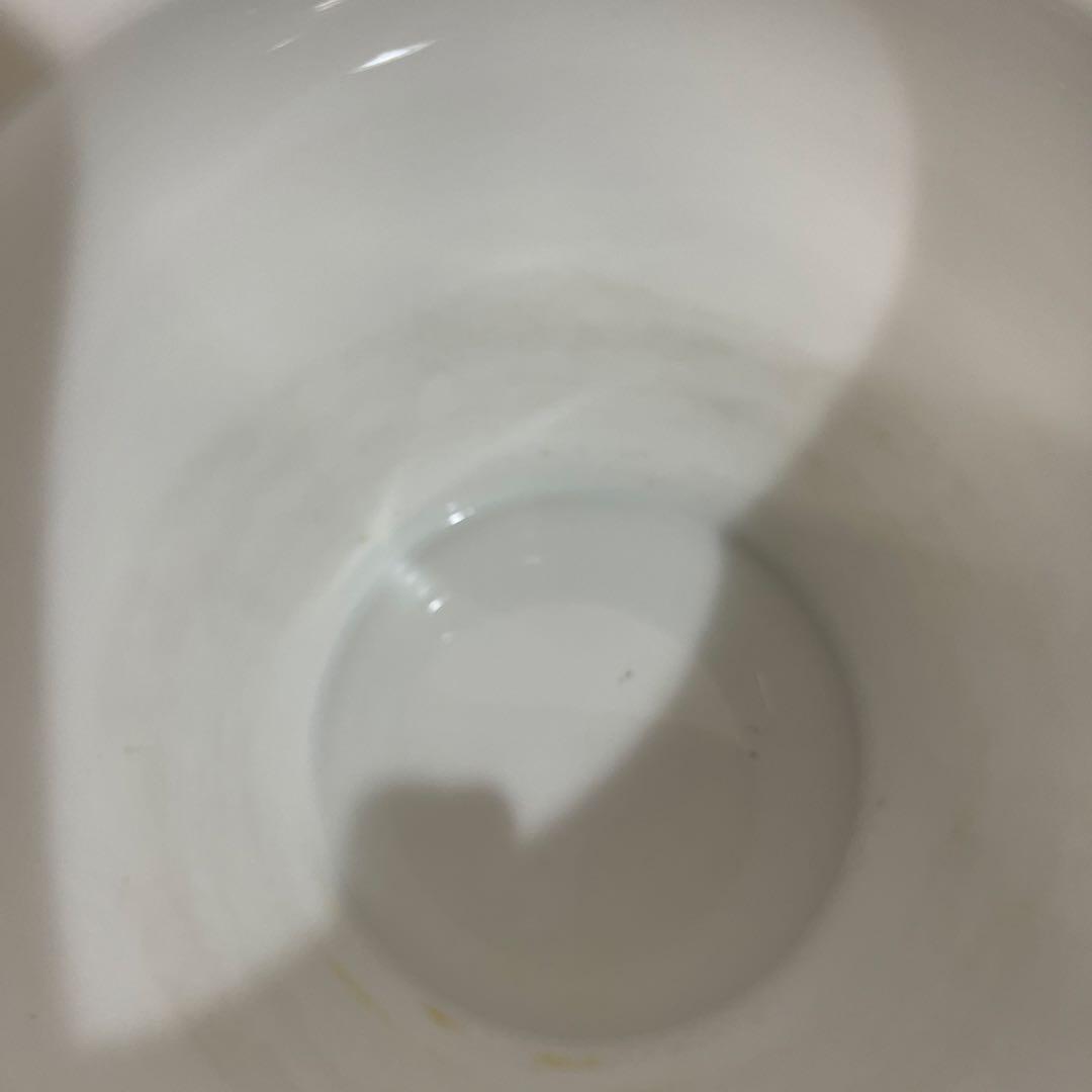 大倉陶園　朱雀 限定版　フランクリン　高級磁器　花瓶