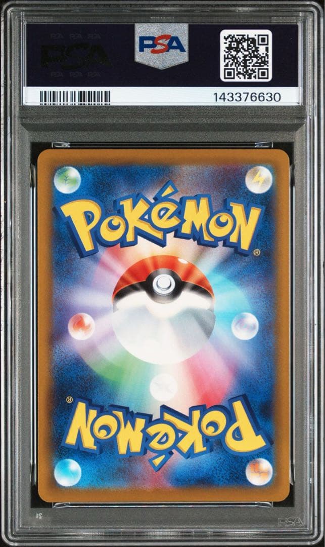 PSA10連番 Nのレシラム,ゼクロム 109/100 210/193 AR ①