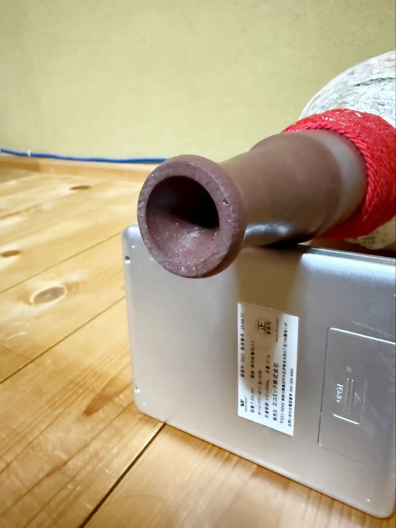 限定セール❗️最大級修験道法螺貝50㎝　肉厚　山伏ホラガイ　ほら貝