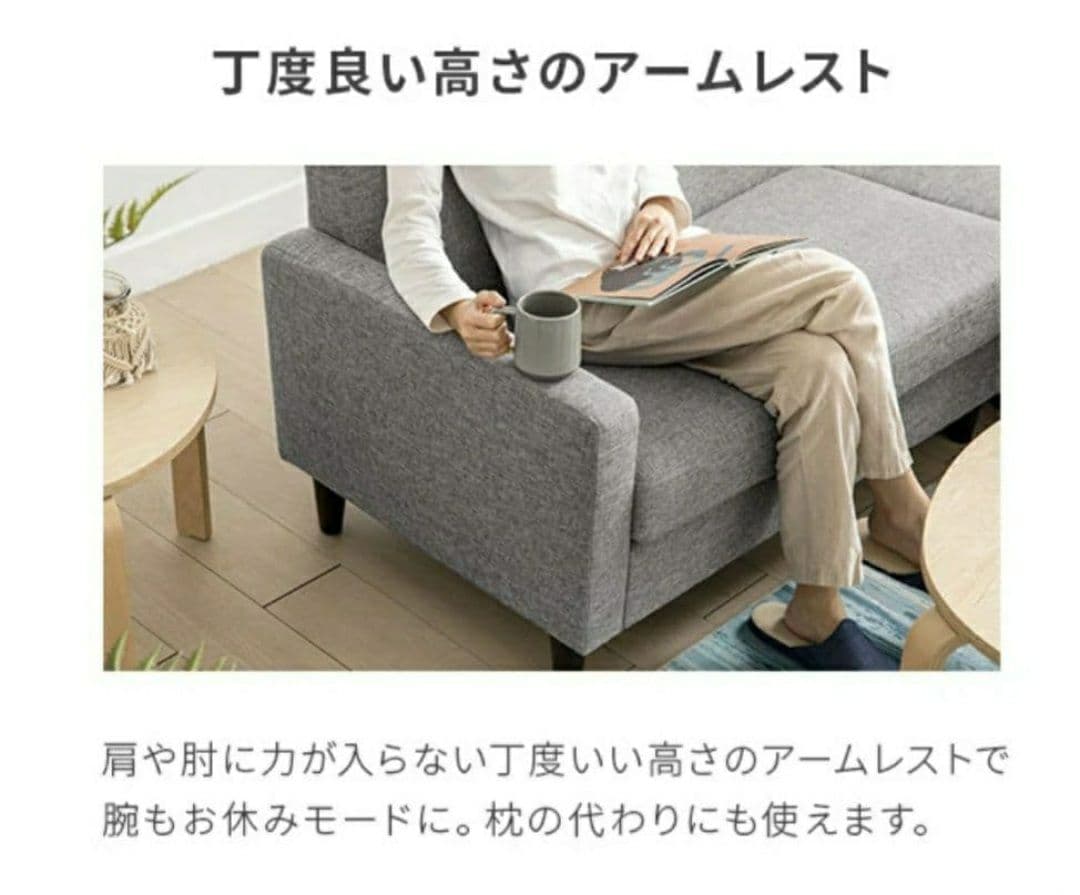 (直接引渡し価格)3人掛け ソファ カウチソファ ペット対応 傷に強い