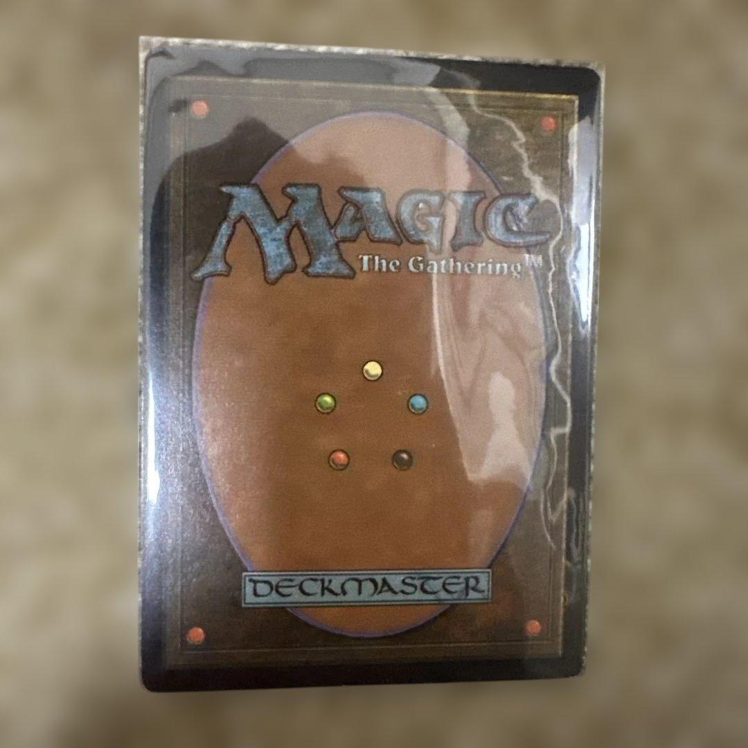 MTG セラの聖域
