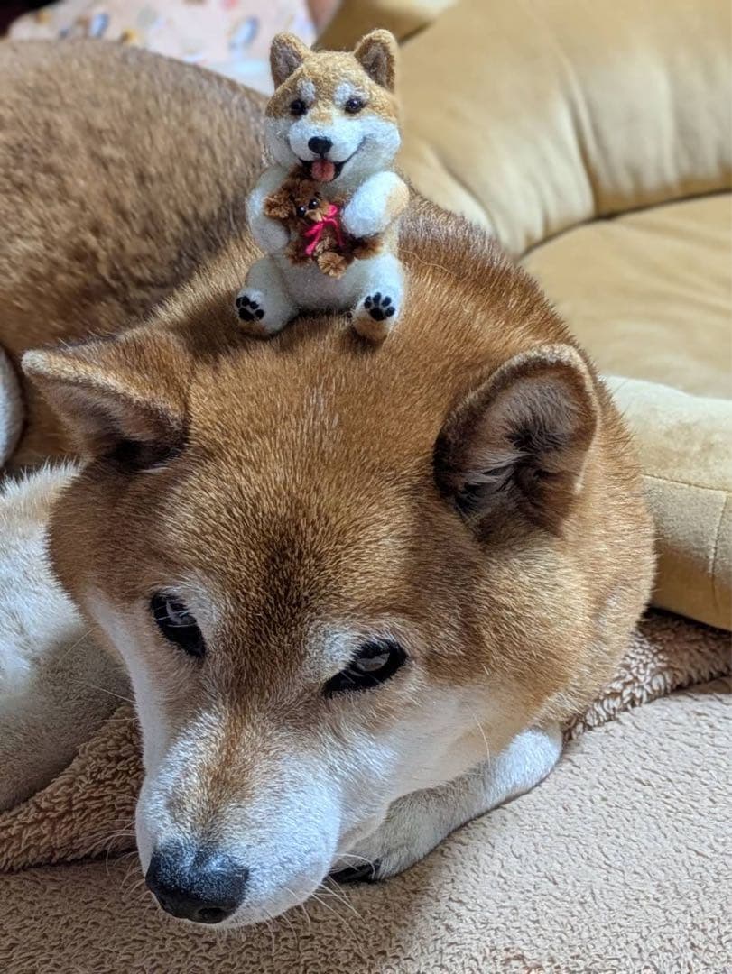 うちの子ベア　テディベア　羊毛フェルト　モール人形　ペット　マスコット