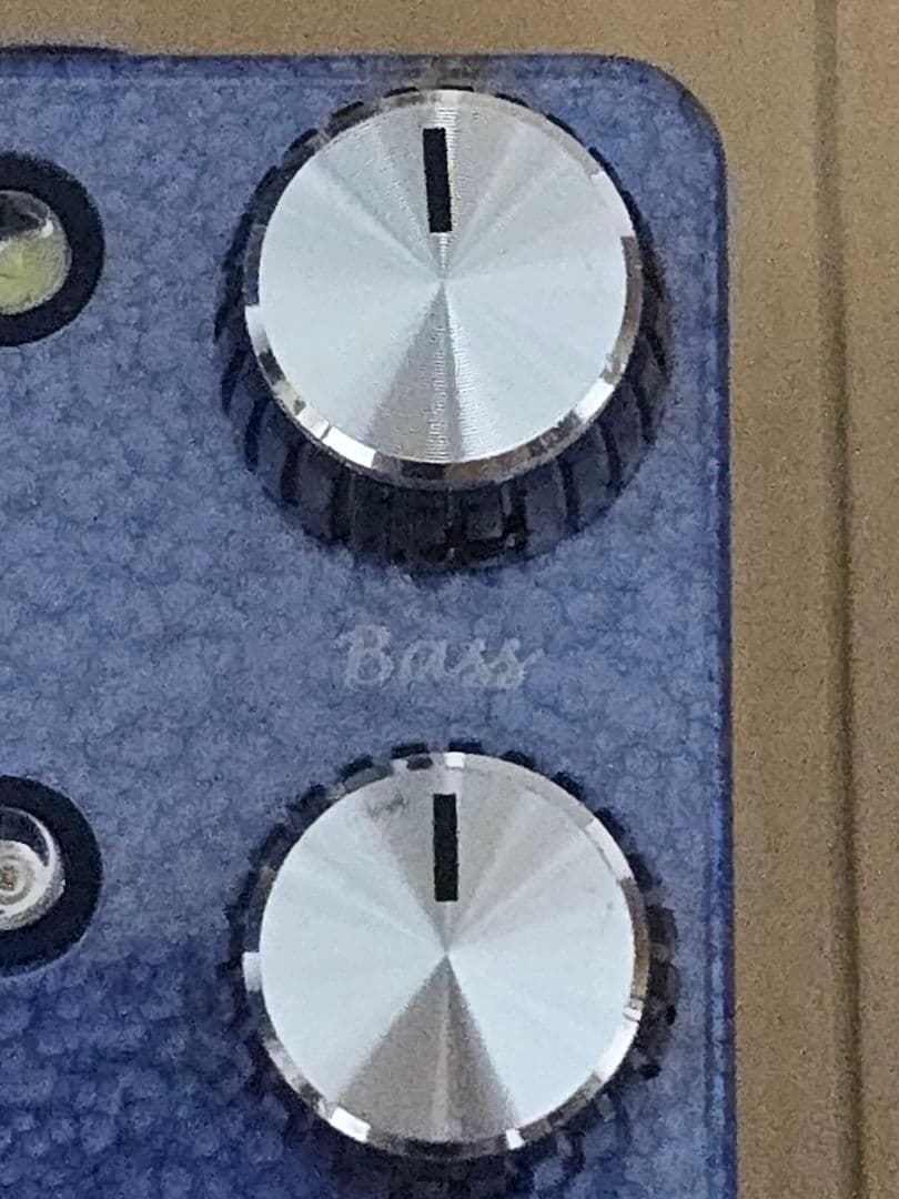 ギター Blackberry JAM Rosemary Rex