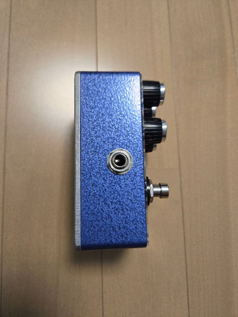 ギター Blackberry JAM Rosemary Rex