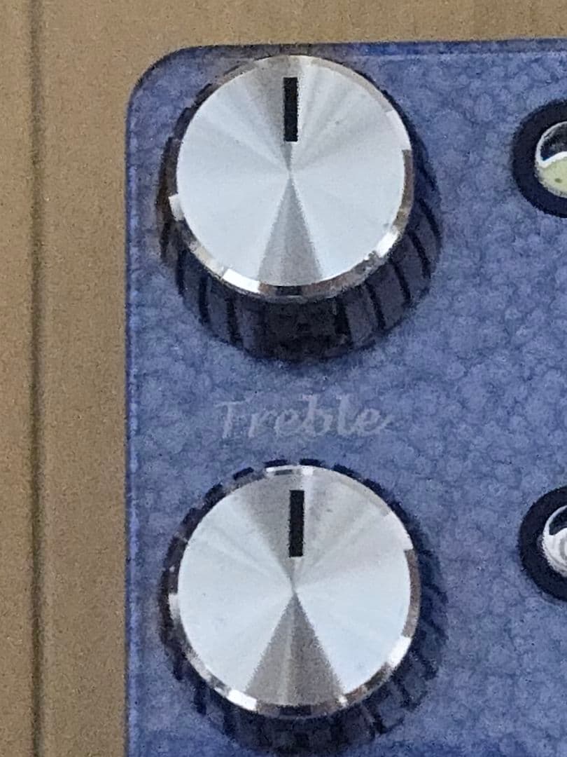 ギター Blackberry JAM Rosemary Rex