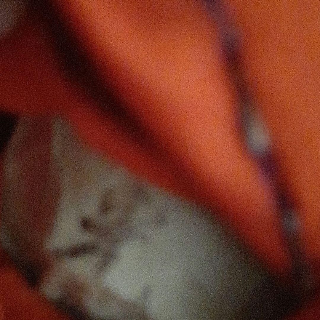 伝統的な市松人形 多色の花柄着物　難あり