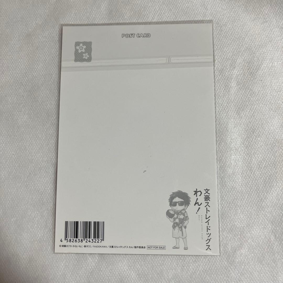 【未使用】文豪ストレイドッグス わん！ 芥川 ポストカード アロハ 【匿名配送】