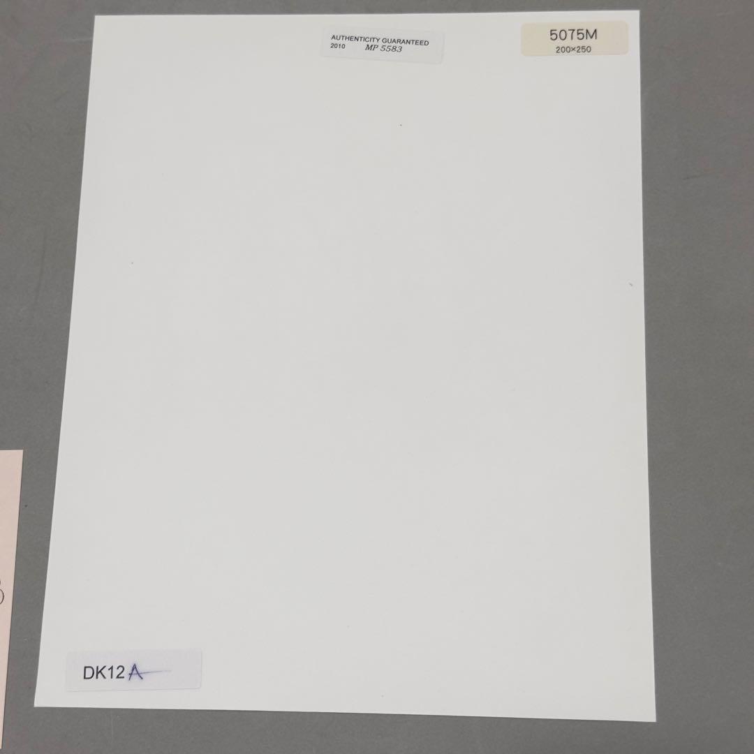 マドンナ Madonna 直筆 サイン フォト 証明書付き オートグラフ