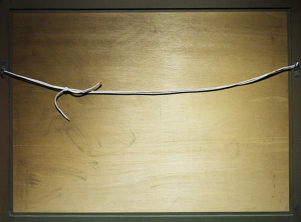 ジェニファー・マークス【トロピカルハーベスト】 シルクスクリーン