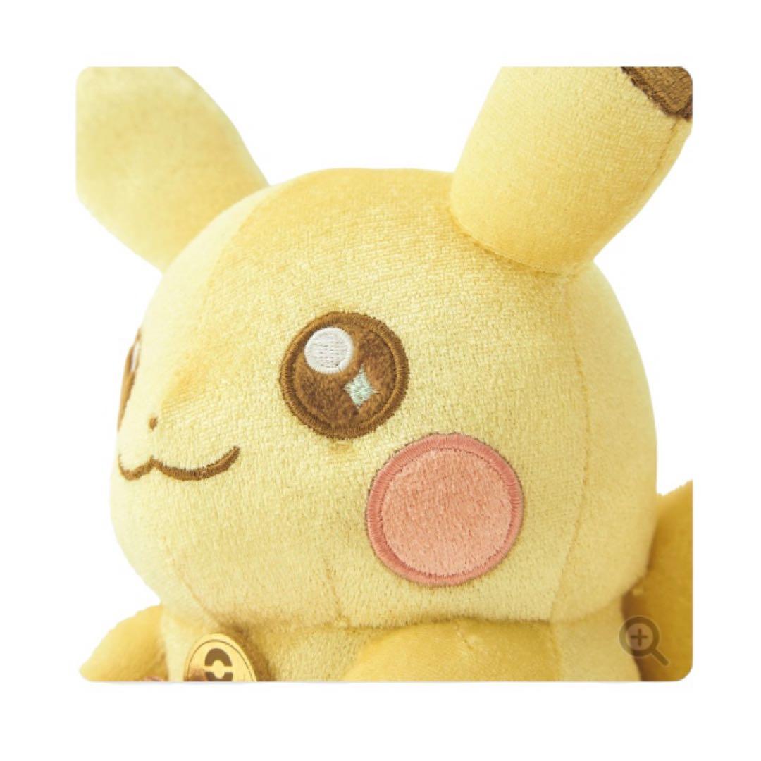 ポケモン　30周年記念　ピカピカ！ピカチュウ　バースデイカード＋おまけ付き