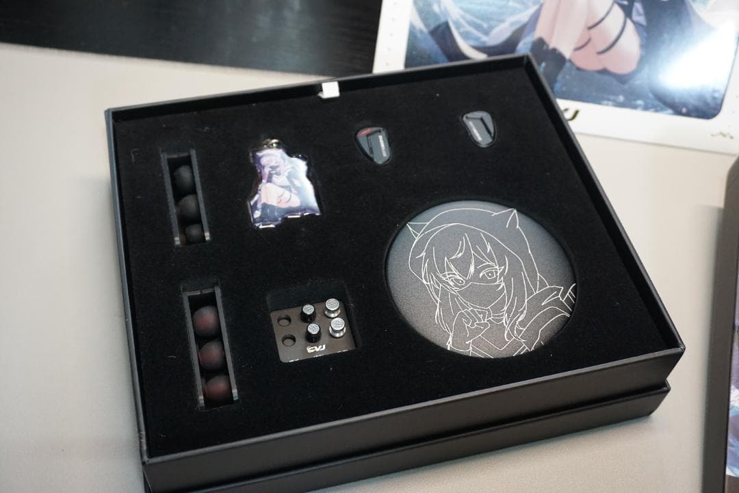 CVJ Shadow Blade IEM ゲイヤホン イヤホン 有線 振動
