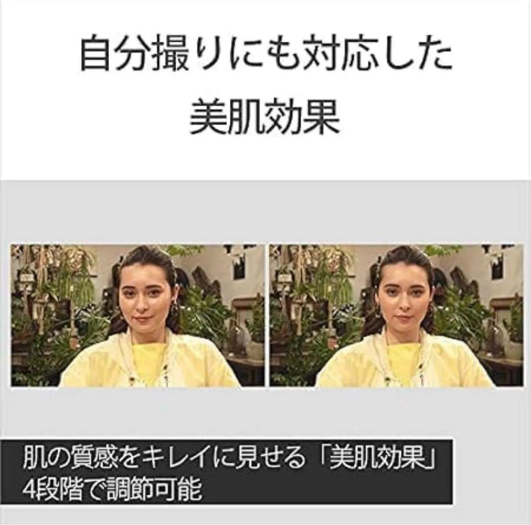 SONY ソニー ミラーレス一眼カメラ Zボディ スクリーン付属 ZV-E10