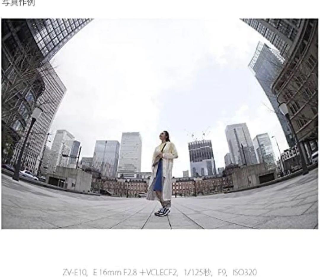 SONY ソニー ミラーレス一眼カメラ Zボディ スクリーン付属 ZV-E10