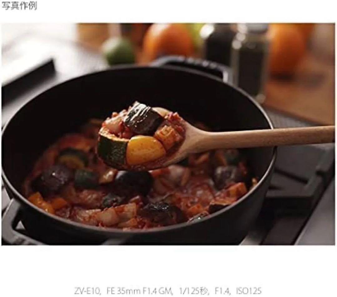 SONY ソニー ミラーレス一眼カメラ Zボディ スクリーン付属 ZV-E10