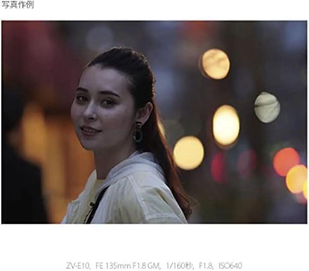 SONY ソニー ミラーレス一眼カメラ Zボディ スクリーン付属 ZV-E10