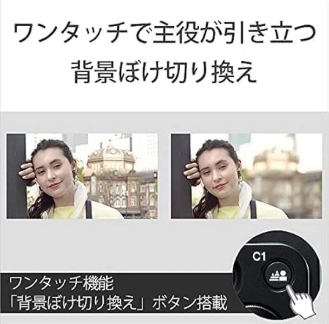 SONY ソニー ミラーレス一眼カメラ Zボディ スクリーン付属 ZV-E10