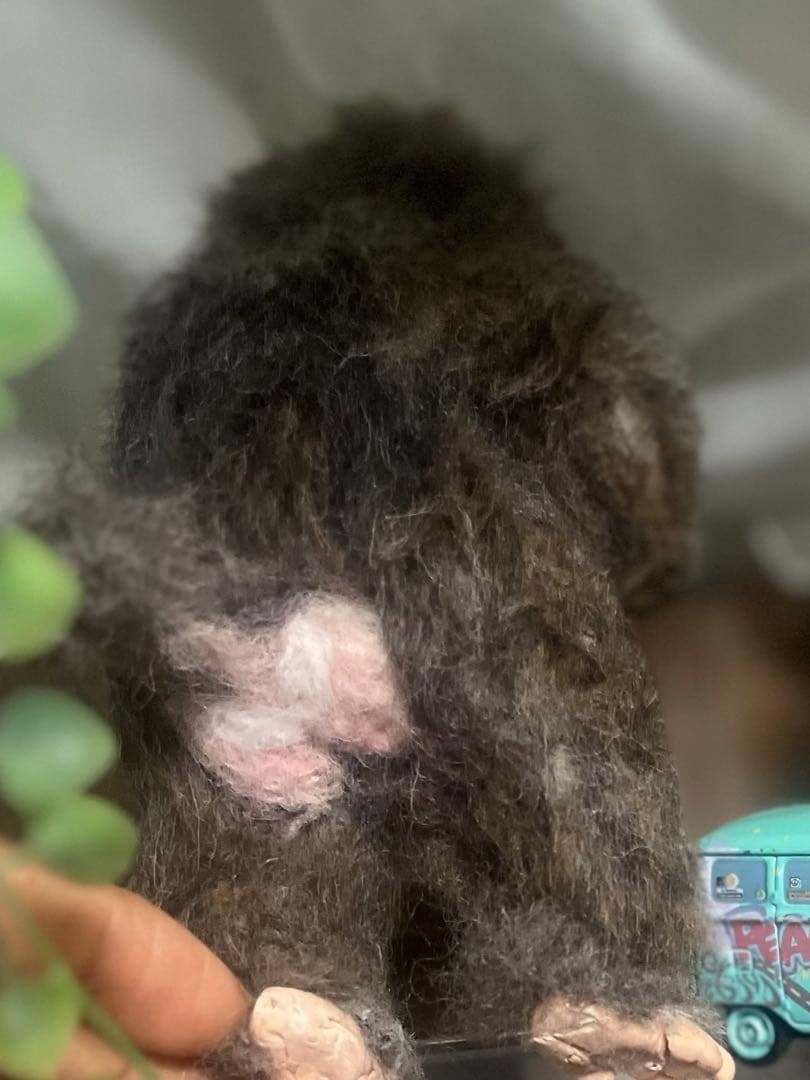 日本猿 子猿 ちゃん 羊毛フェルト