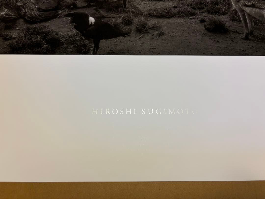 杉本博司　SUGIMOTO 限定ポスター『ハイエナ、ジャッカル、コンドル』