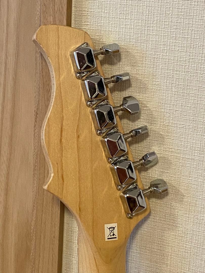 PLAYTECH プレイテック ストラトタイプ 弦交換&調整済