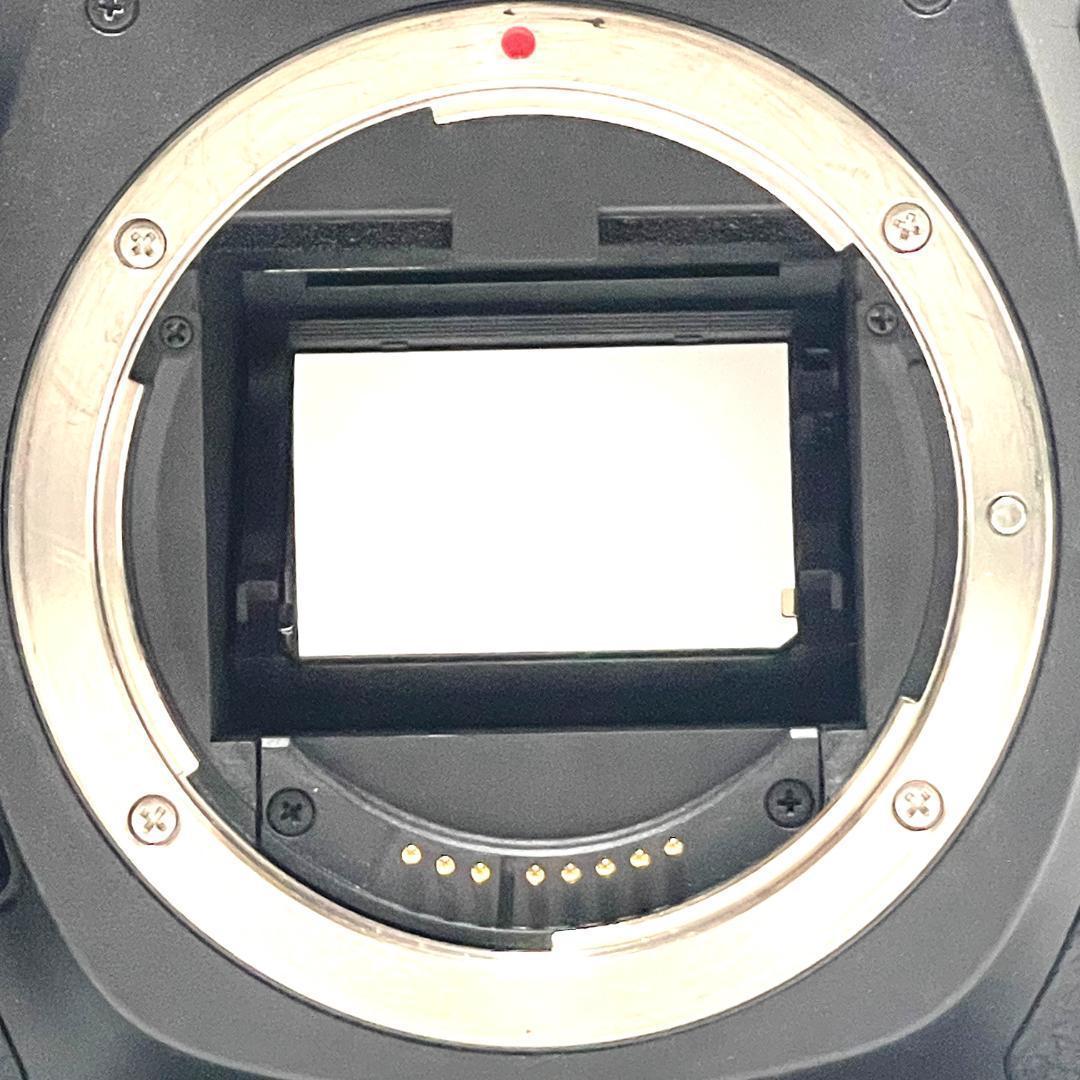 フルサイズ高画質✨Canon EOS 5D Mark III 超望遠セット