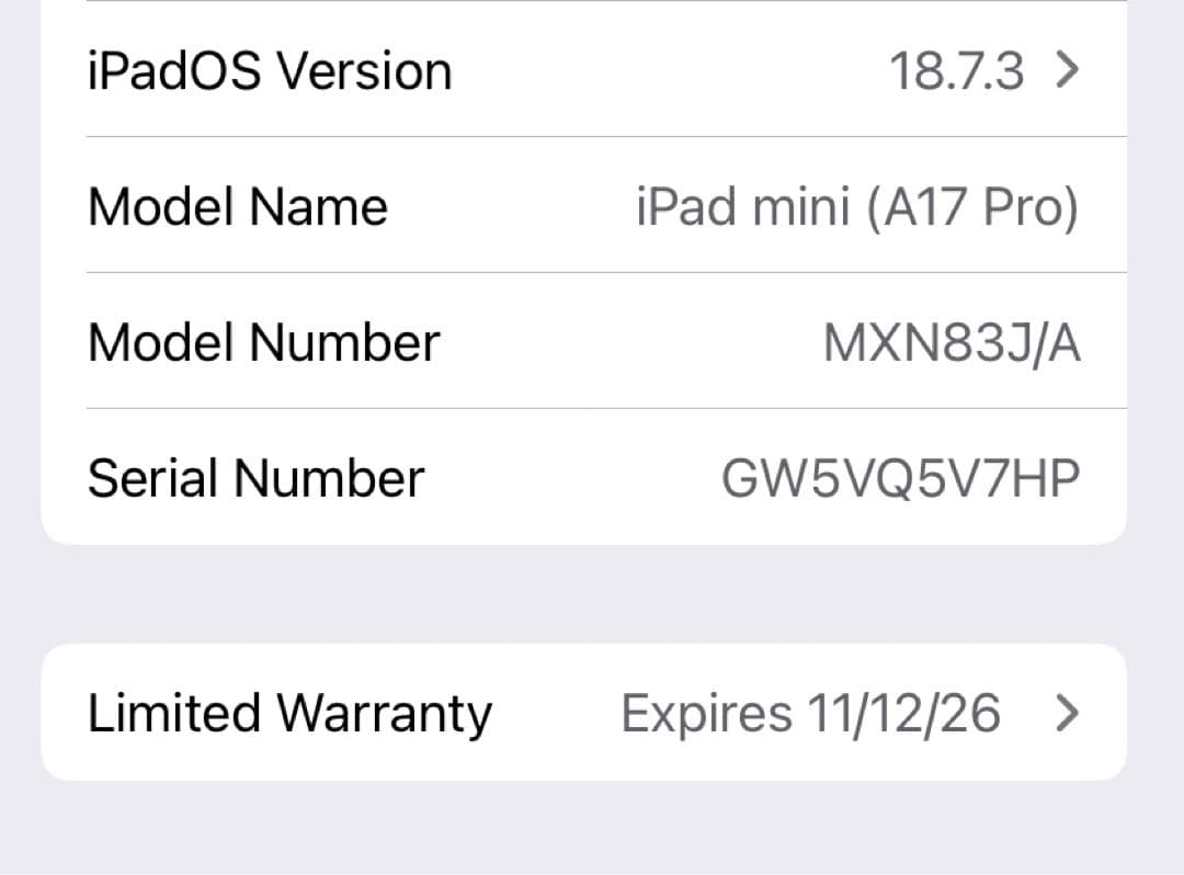 100%バッテリー iPad mini 7 128GB Wi-Fi スターライト