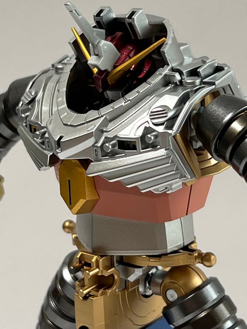 HGCE ズゴック SEED FREEDOM Ver. 塗装完成品 CAセット