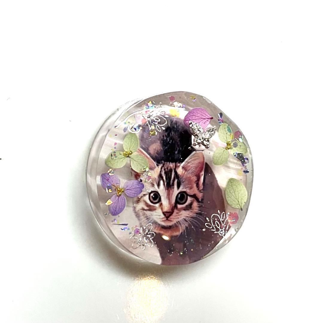 新作☆レジンヘアゴム　バタフライ2