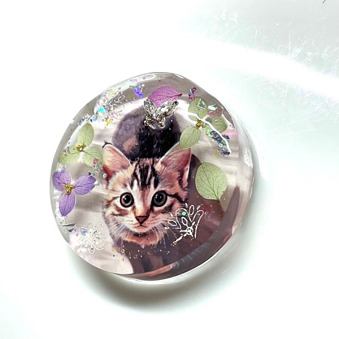 新作☆レジンヘアゴム　バタフライ2