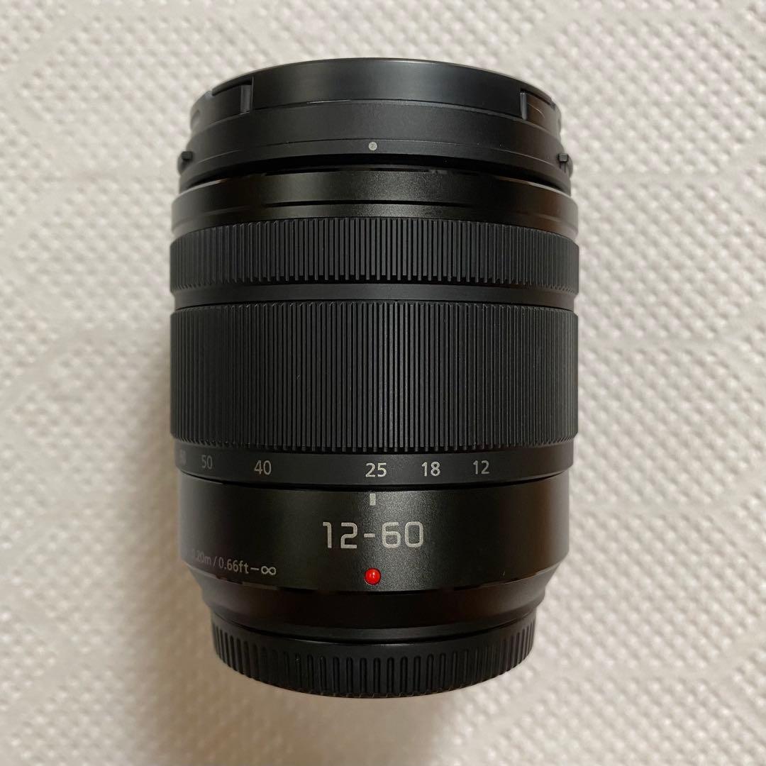 【撮影46枚 】Panasonic LUMIX DMC-G8M 美品