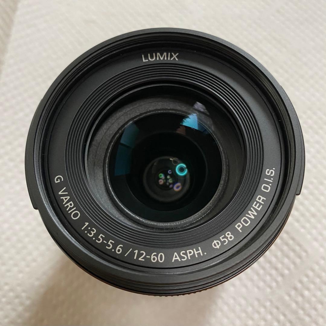 【撮影46枚 】Panasonic LUMIX DMC-G8M 美品