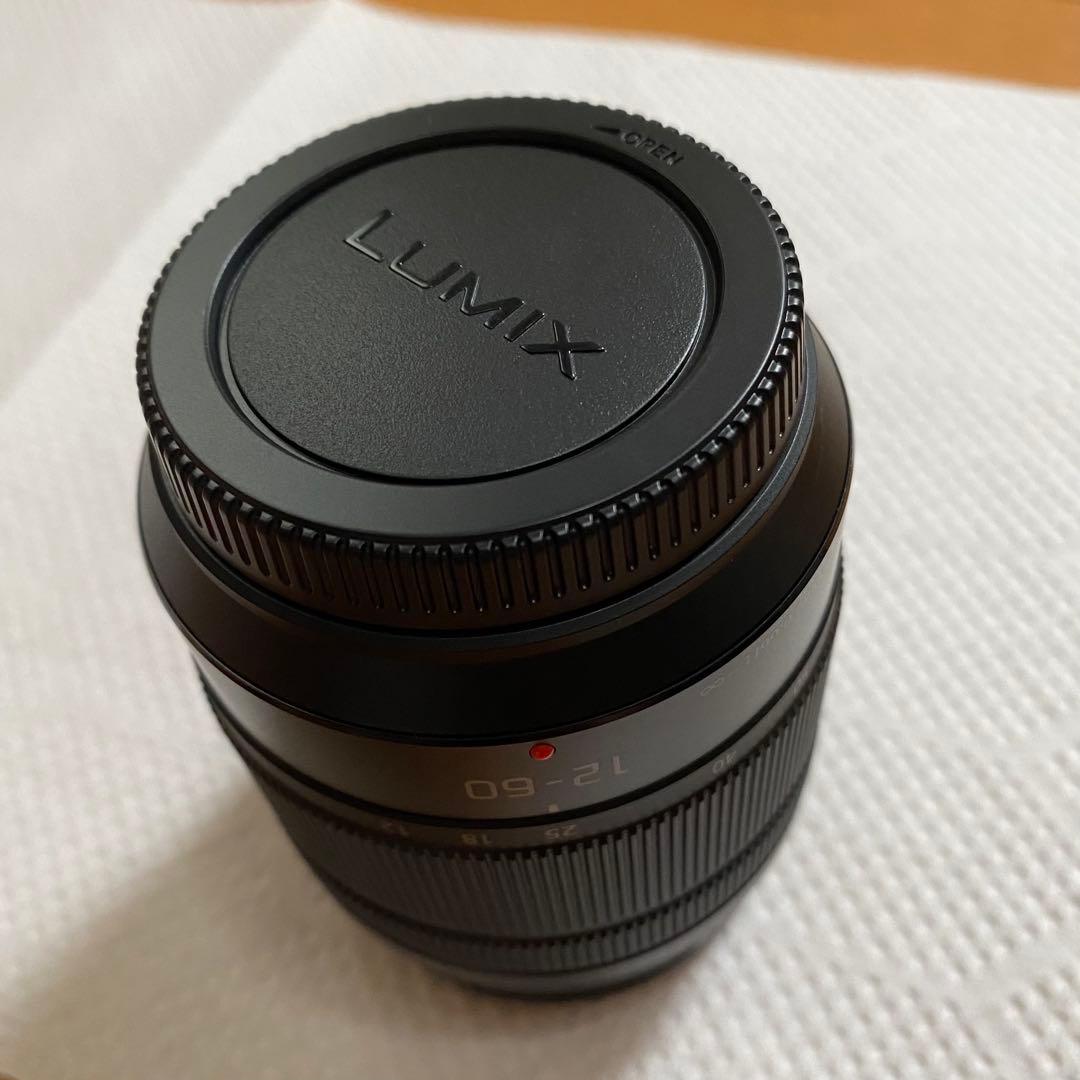 【撮影46枚 】Panasonic LUMIX DMC-G8M 美品