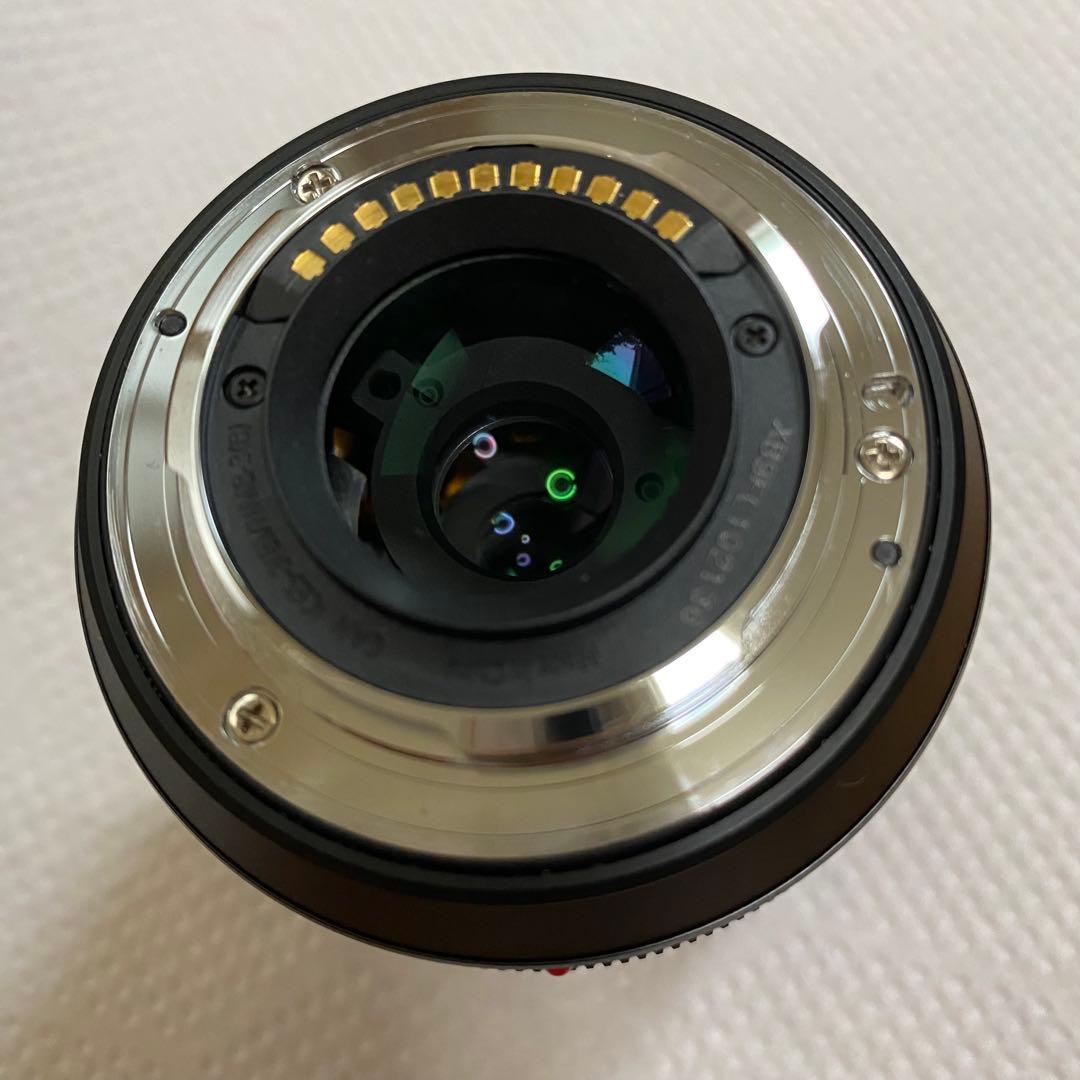 【撮影46枚 】Panasonic LUMIX DMC-G8M 美品