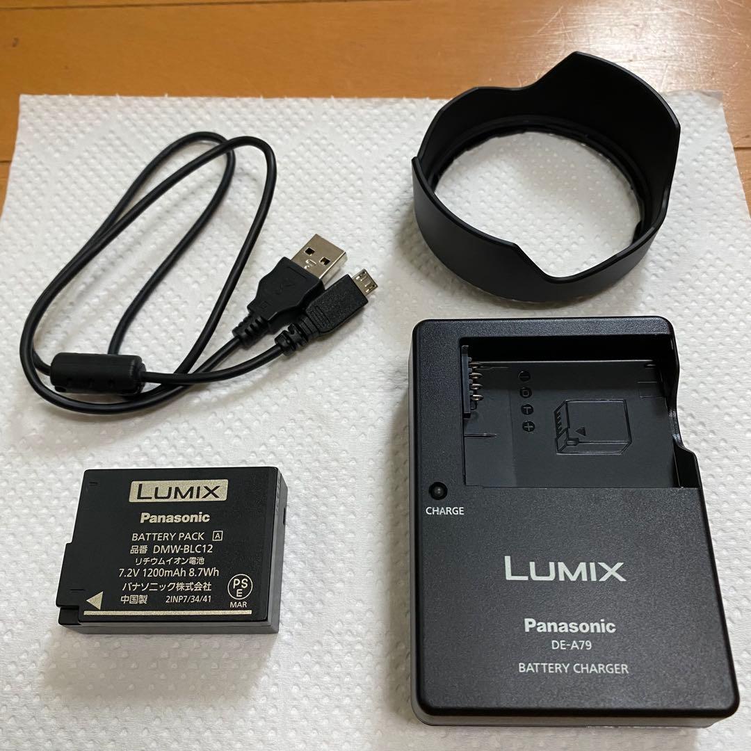 【撮影46枚 】Panasonic LUMIX DMC-G8M 美品
