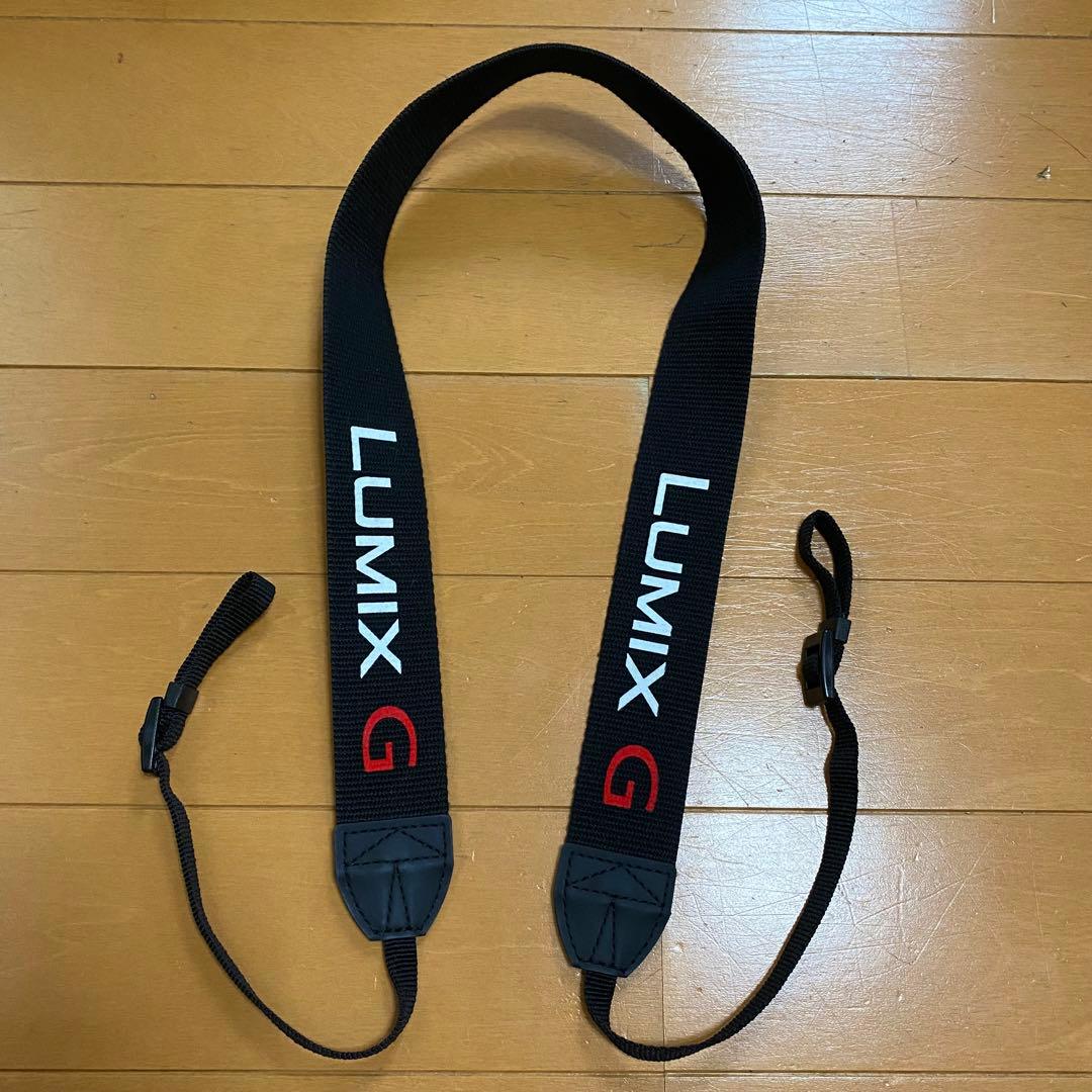 【撮影46枚 】Panasonic LUMIX DMC-G8M 美品