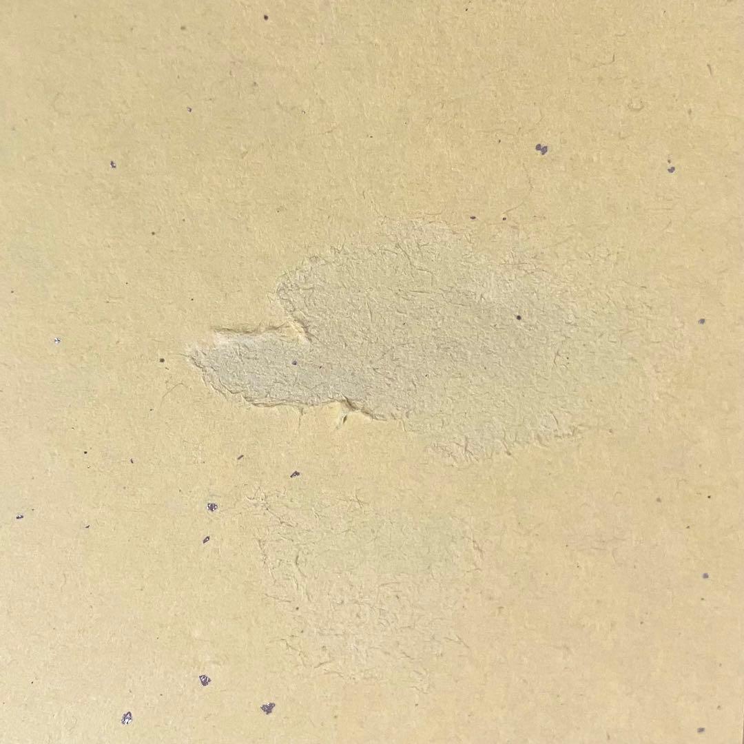 ひぐらしのなく頃に 暦 ミニ色紙コレクション 10th ミニ色紙 竜宮レナ