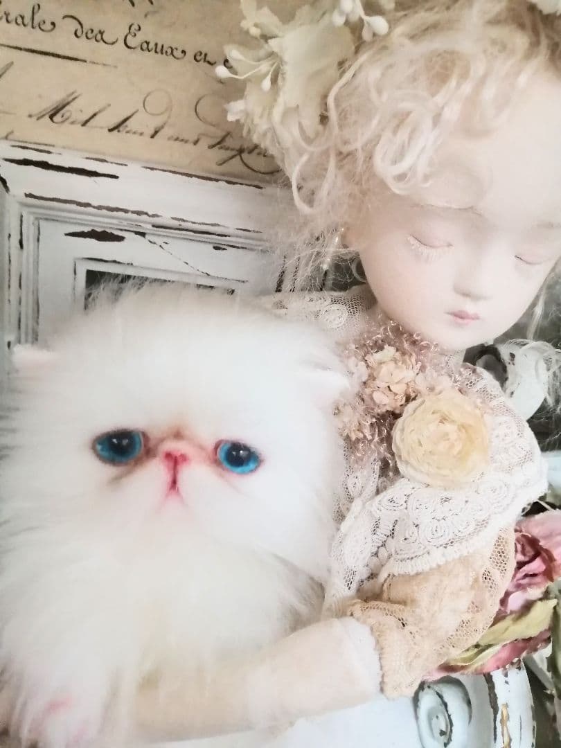 ポッケにゃん♡真っ白美人ちゃん♡エキゾチック子猫ちゃん♡アートドール♡ぬいぐるみ