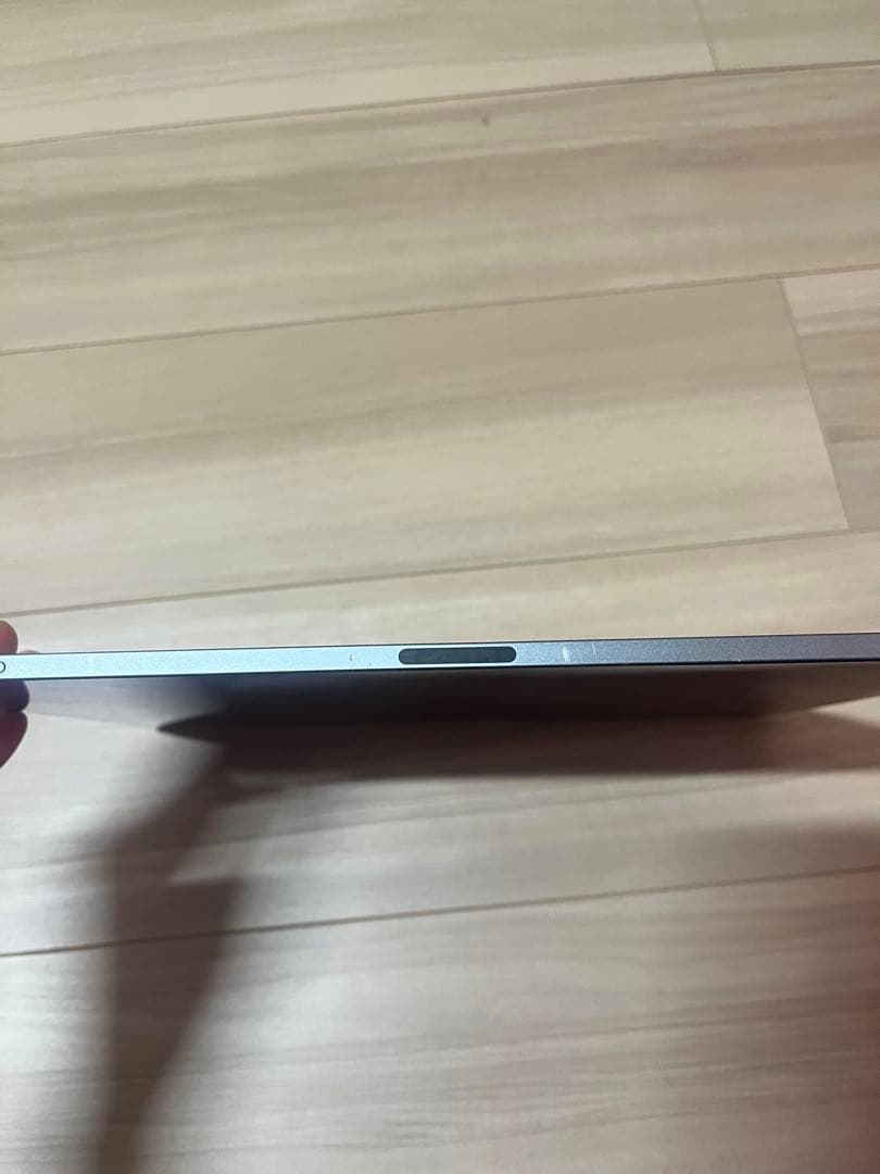 【画面美品】iPad pro 12.9 第3世代 256GB Cellular