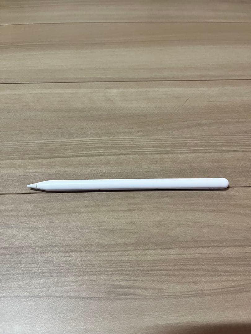 【画面美品】iPad pro 12.9 第3世代 256GB Cellular