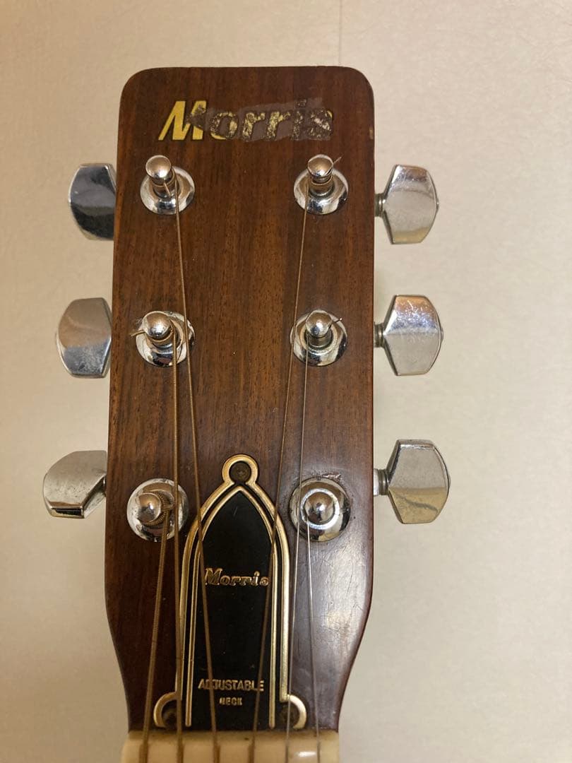 Morris アコースティックギターW-35