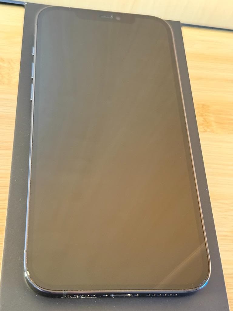 iPhone 12 Pro Max 256GB パシフィックブルー 箱付属品あり