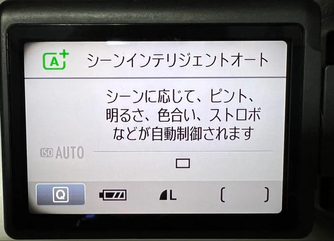 Canon Kiss X5☆一眼レフ☆完動品☆レンズ1つで近くも遠くも撮影OK