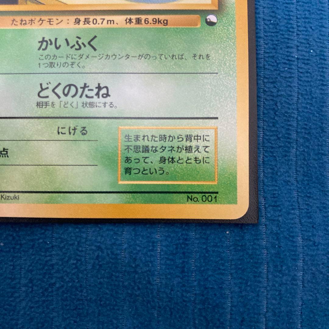 極美品 フジギダネ クイックスターターギフト 旧裏面