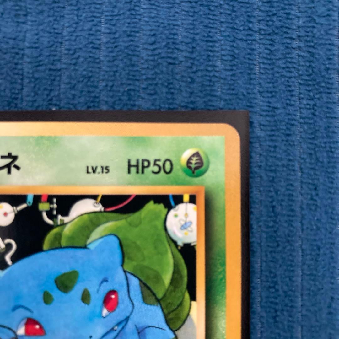 極美品 フジギダネ クイックスターターギフト 旧裏面