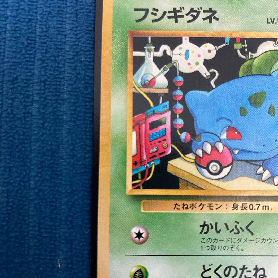 極美品 フジギダネ クイックスターターギフト 旧裏面